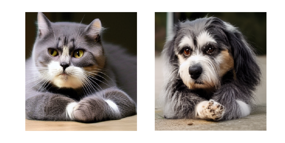 cat-dog-same-seed.png